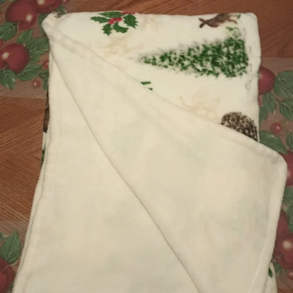 *EUC ~ Better Homes & Gardens Oversize Reversible Velvet Plush Throw Blanket